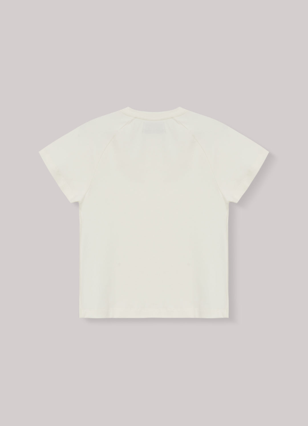 Camiseta Raglan In And Out Feminina