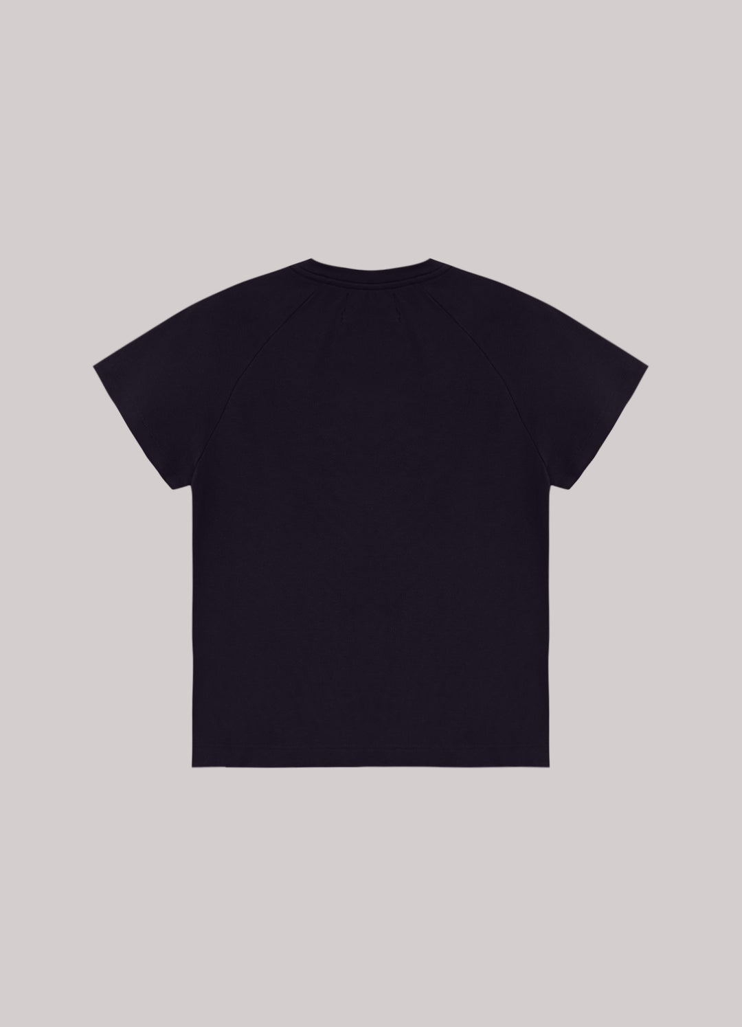 Camiseta Raglan In And Out Feminina