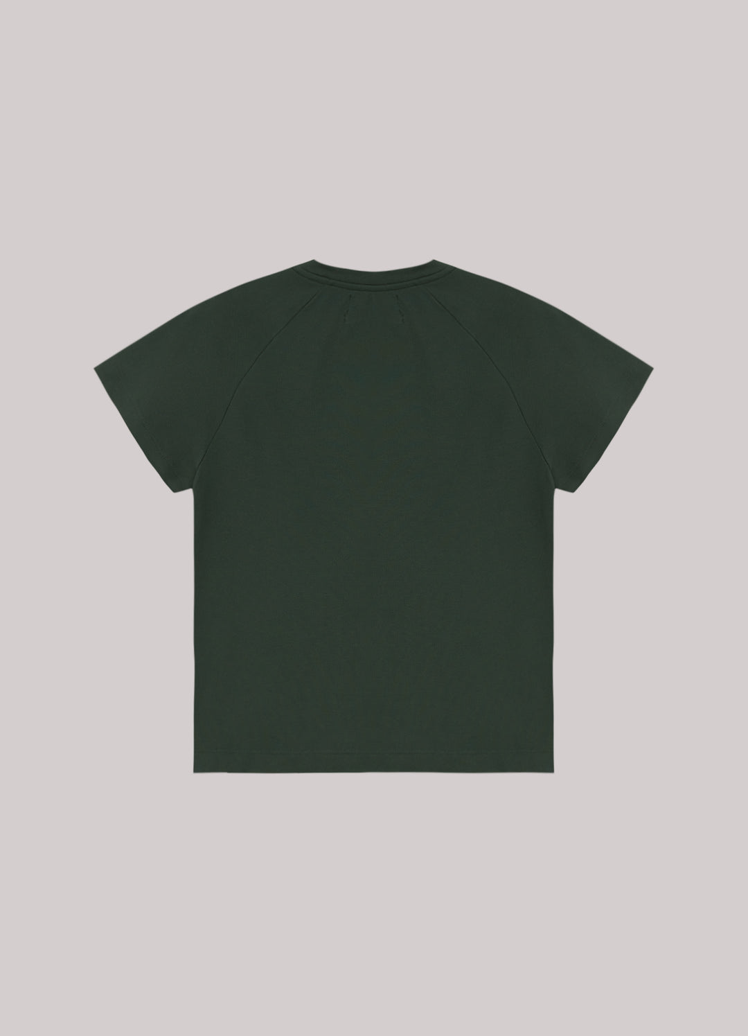 Camiseta Raglan In And Out Feminina